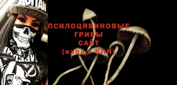 ECSTASY Алексин