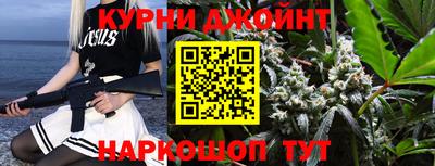 индика Майкоп