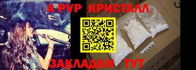 индика Майкоп