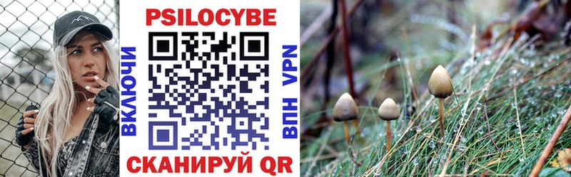 Псилоцибиновые грибы MAGIC MUSHROOMS  Иркутск 