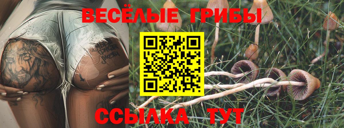 Галлюциногенные грибы мицелий  Вход с VPN  Иркутск 